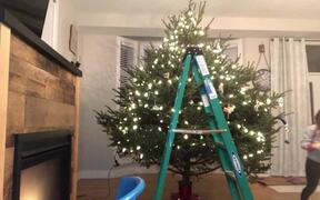 Christmas Tree With Decorations Falls Down