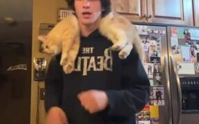 Person Dances With His Pet Cat on His Shoulders