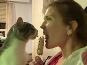 Woman Shares Ice Cream With Cat