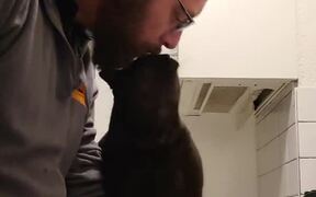 Cat Asks for Kisses While Owner Does Dishes