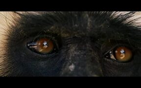 Monkey Man Official Trailer