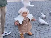 Kid Gets Startled When Pigeon Perches on Her Head
