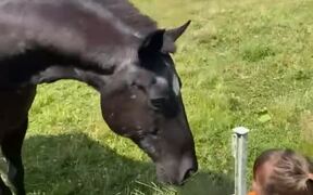 Toddler Feeds Carrot to Pet Horse