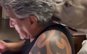 Dog Cobbs Owner's Hair While Sitting Behind Him