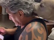 Dog Cobbs Owner's Hair While Sitting Behind Him