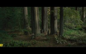 Sasquatch Sunset Official Trailer