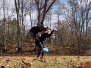 Dog Attempts Incredible Frisbee Tricks With Owner