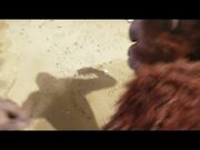 Godzilla x Kong: The New Empire Official Trailer 2