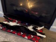 Cat Lays Outstretched Next to Fireplace