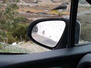 Wagtail Attacks Its Own Reflection in Car Mirror