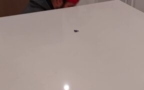 Guy Accidentally Drops Entire Puzzle