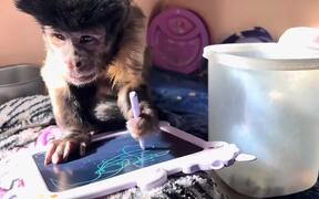 Monkey Draws on Tablet Device