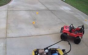 Best Baby Fails