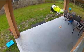 Hilarious Fails