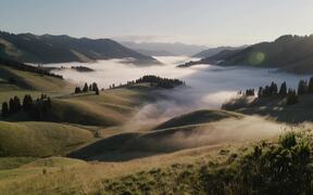 Rolling Hills Meet Ethereal Fog