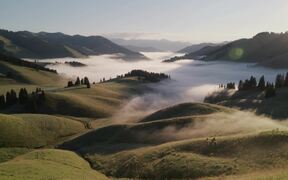 Rolling Hills Meet Ethereal Fog