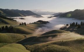 Rolling Hills Meet Ethereal Fog