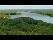 Tiny Fugitives | Official Trailer