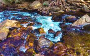 River Flows
