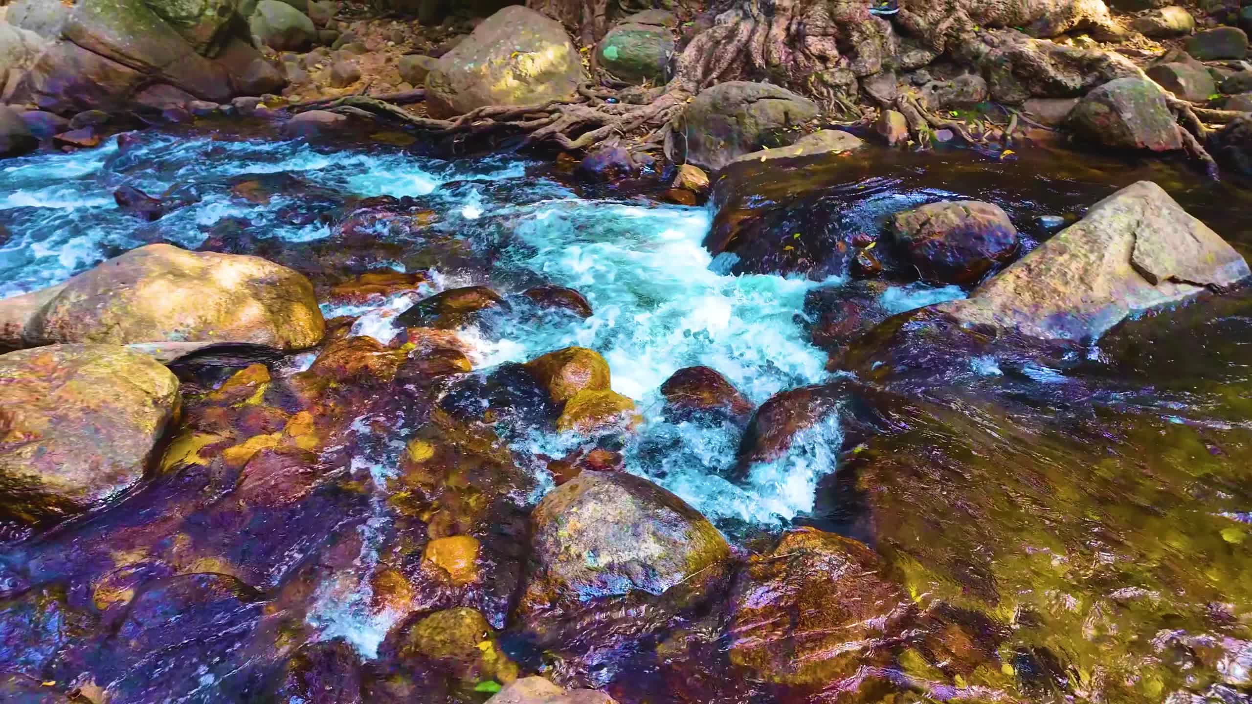 River Flows
