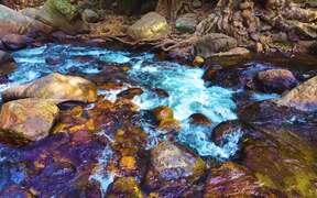River Flows
