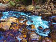 River Flows
