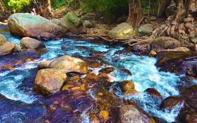River Flows