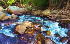 River Flows
