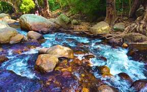River Flows
