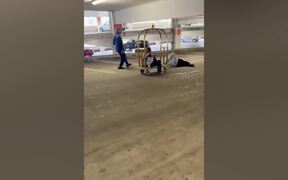 Hilarious Summer Fails