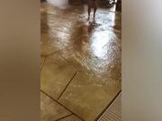 Hilarious Summer Fails