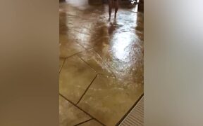 Hilarious Summer Fails