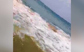Hilarious Summer Fails