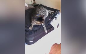 Crazy Vacation Summer Fails