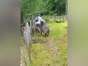 Hilarious Summer Fails