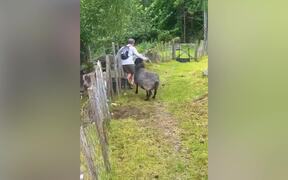 Hilarious Summer Fails