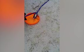 Funny Summer Fails