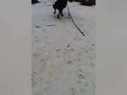 Funny Summer Fails