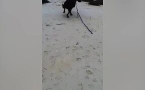 Funny Summer Fails