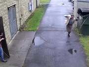 Funny Animal Fails