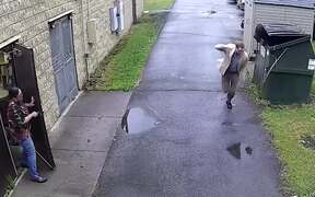Funny Animal Fails