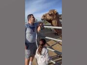 Crazy Animal Fails
