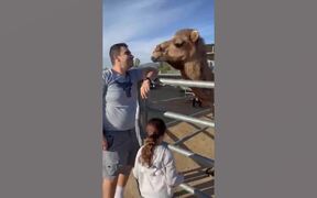 Crazy Animal Fails