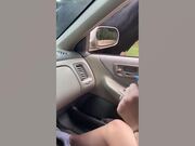 Wild Animal Fails