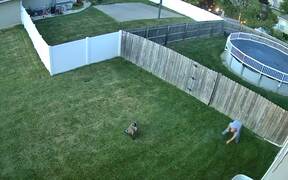 Epic Funny Animal Fails