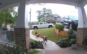 Hilarious Epic Fails