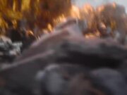 Godzilla Minus Zero Trailer