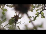 How to Live on Earth | Official Trailer