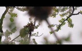 How to Live on Earth | Official Trailer