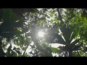 How to Live on Earth | Official Trailer